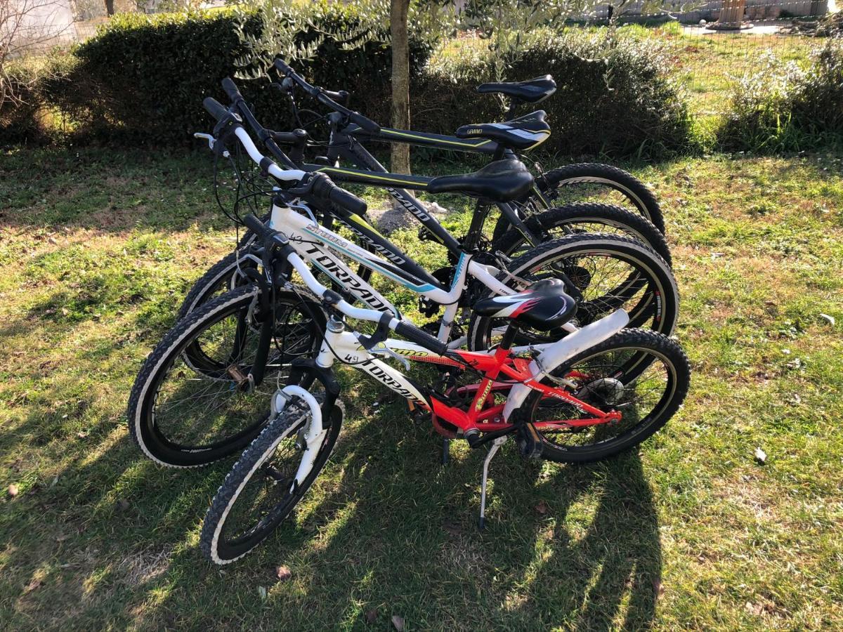 Apartment Madis & Free Bikes Пула Екстериор снимка